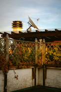 A rooftop garden flourishing with vegetables and herbs under soft sunlight.