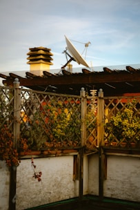 A rooftop garden features wooden trellises adorned with various plants and climbing vines. In the background, a satellite dish is mounted next to a chimney. The scene is bathed in soft, natural light, giving it a warm and serene appearance.