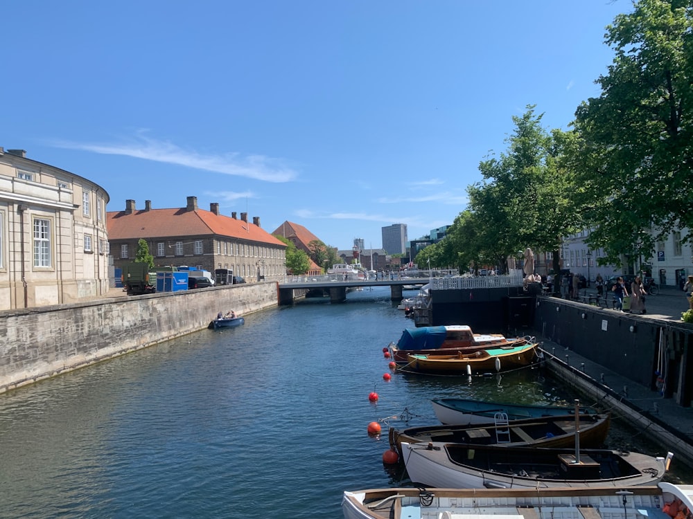 boats are parked along the side of a river