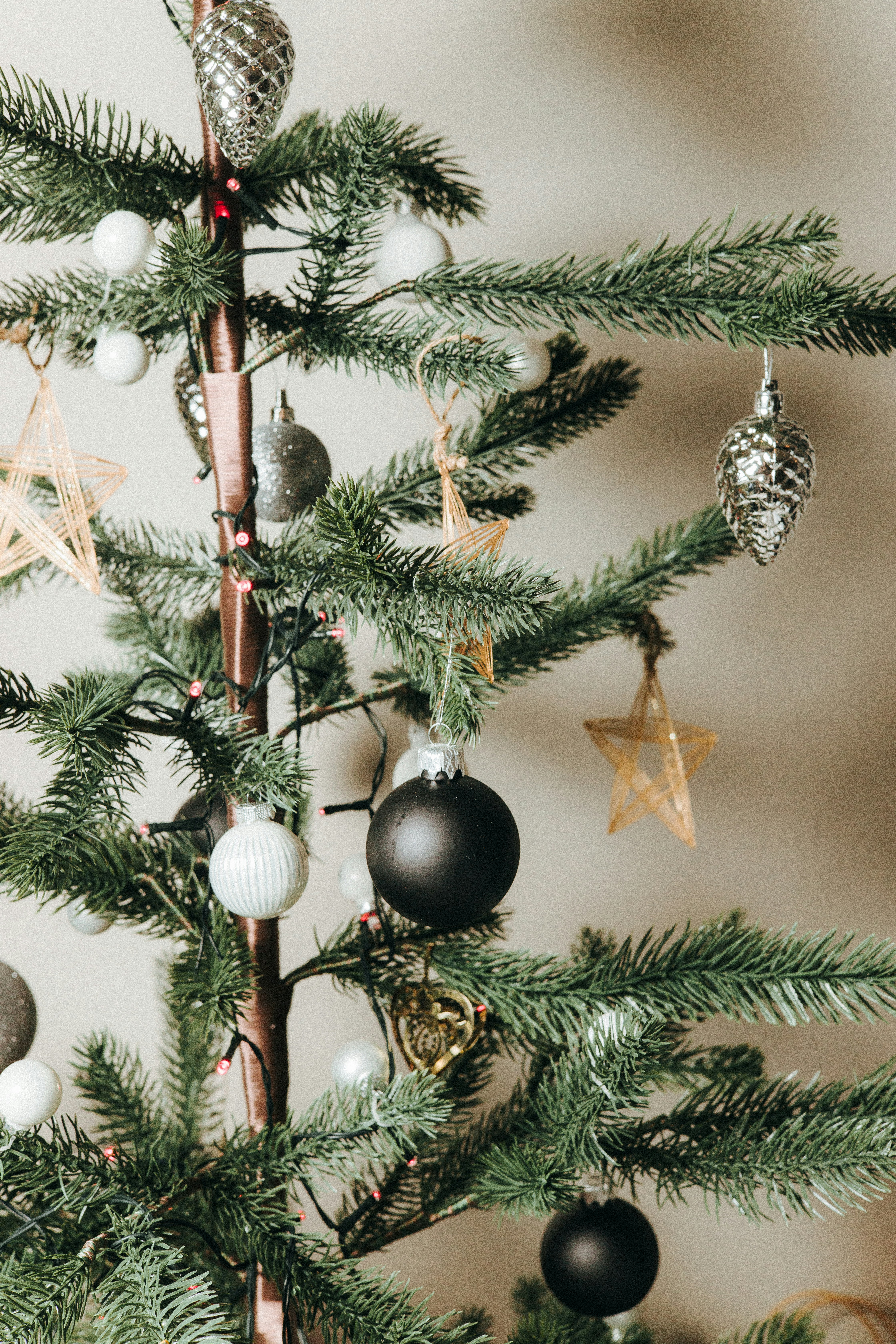 Photo by robertarnar