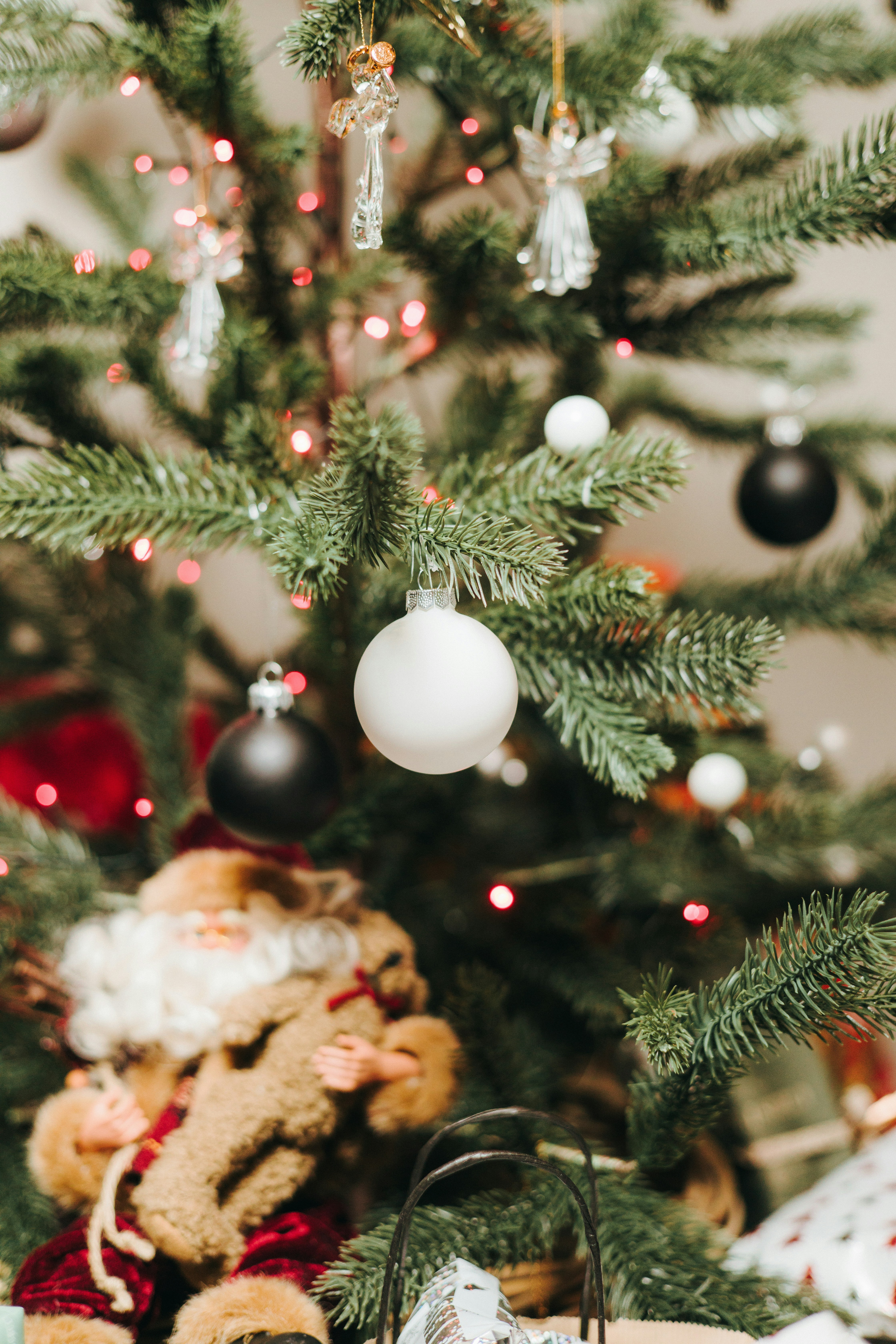 Photo by robertarnar