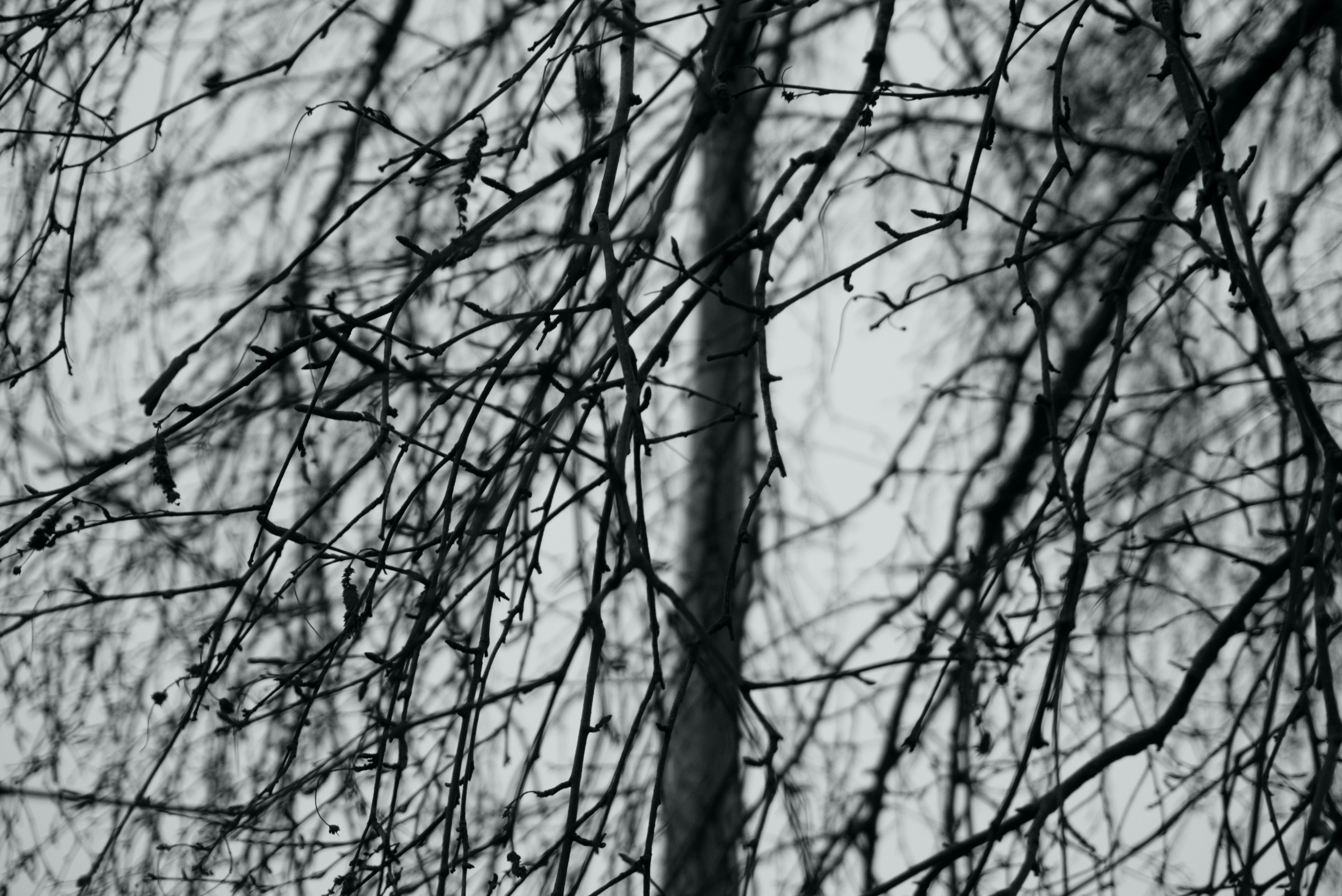 Photo by gabriellasofficialphotography