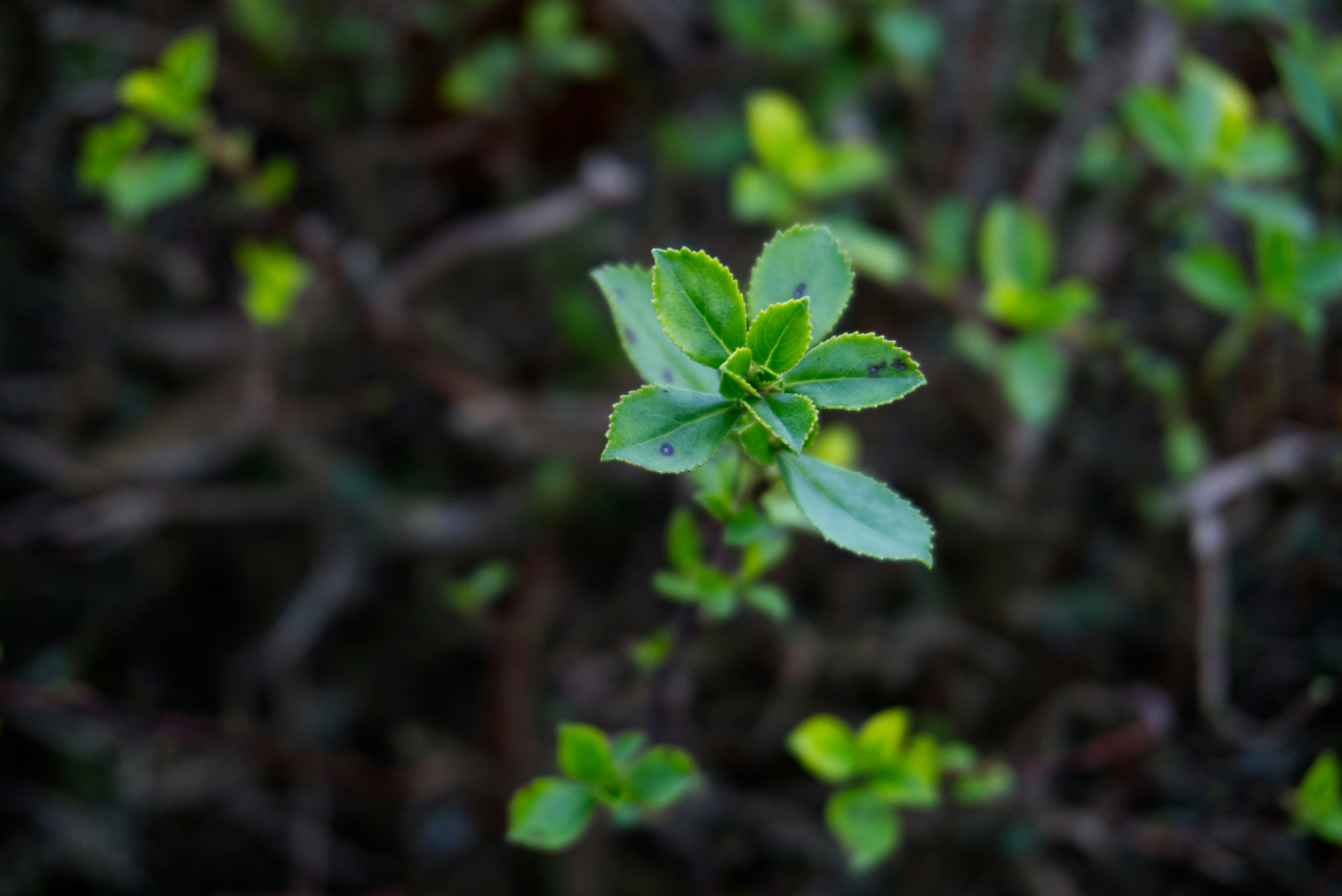 Photo by gabriellasofficialphotography