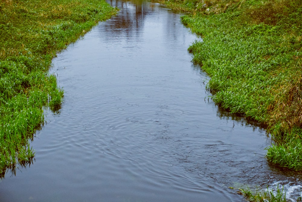 a small stream running through a lush green field