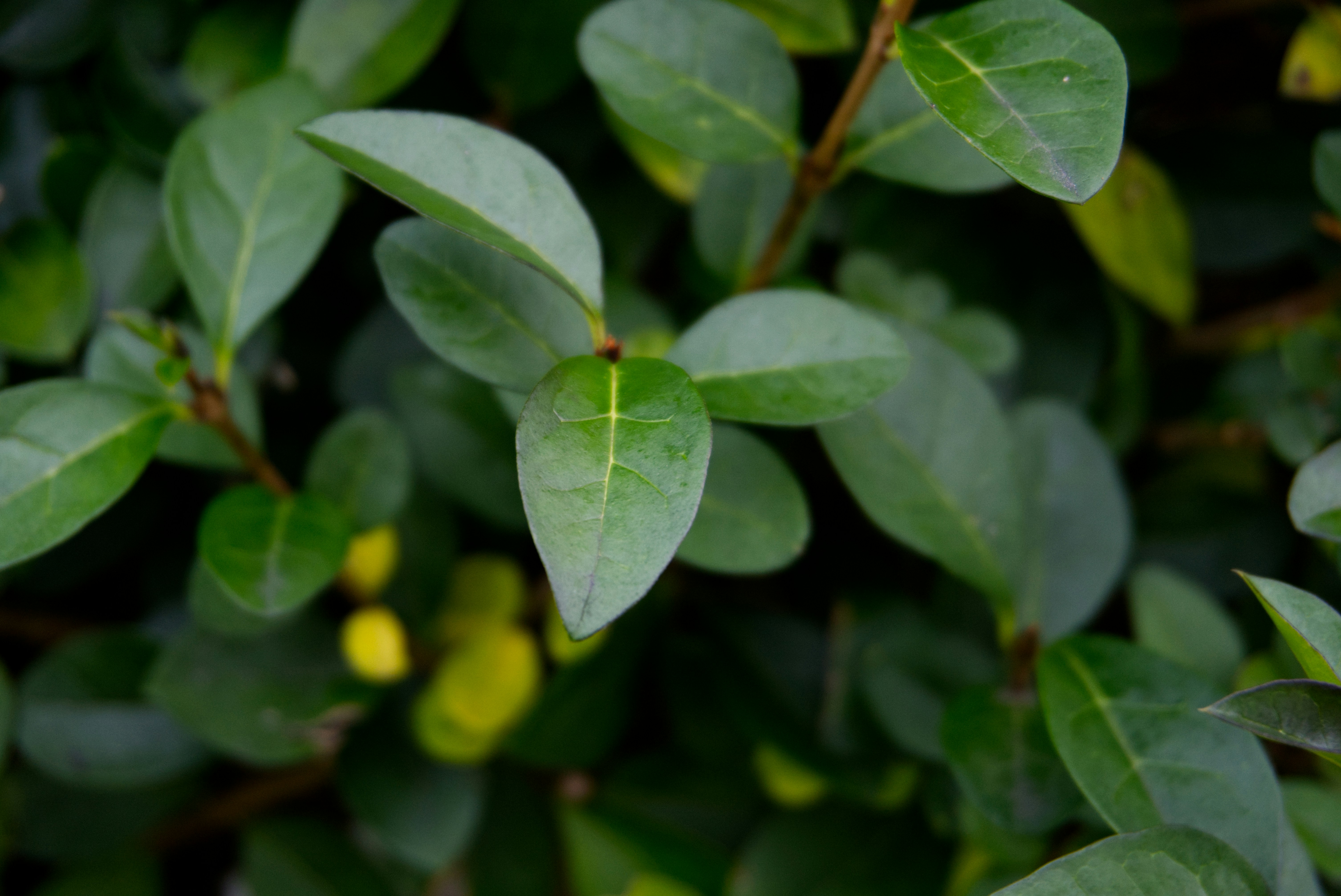 Photo by gabriellasofficialphotography