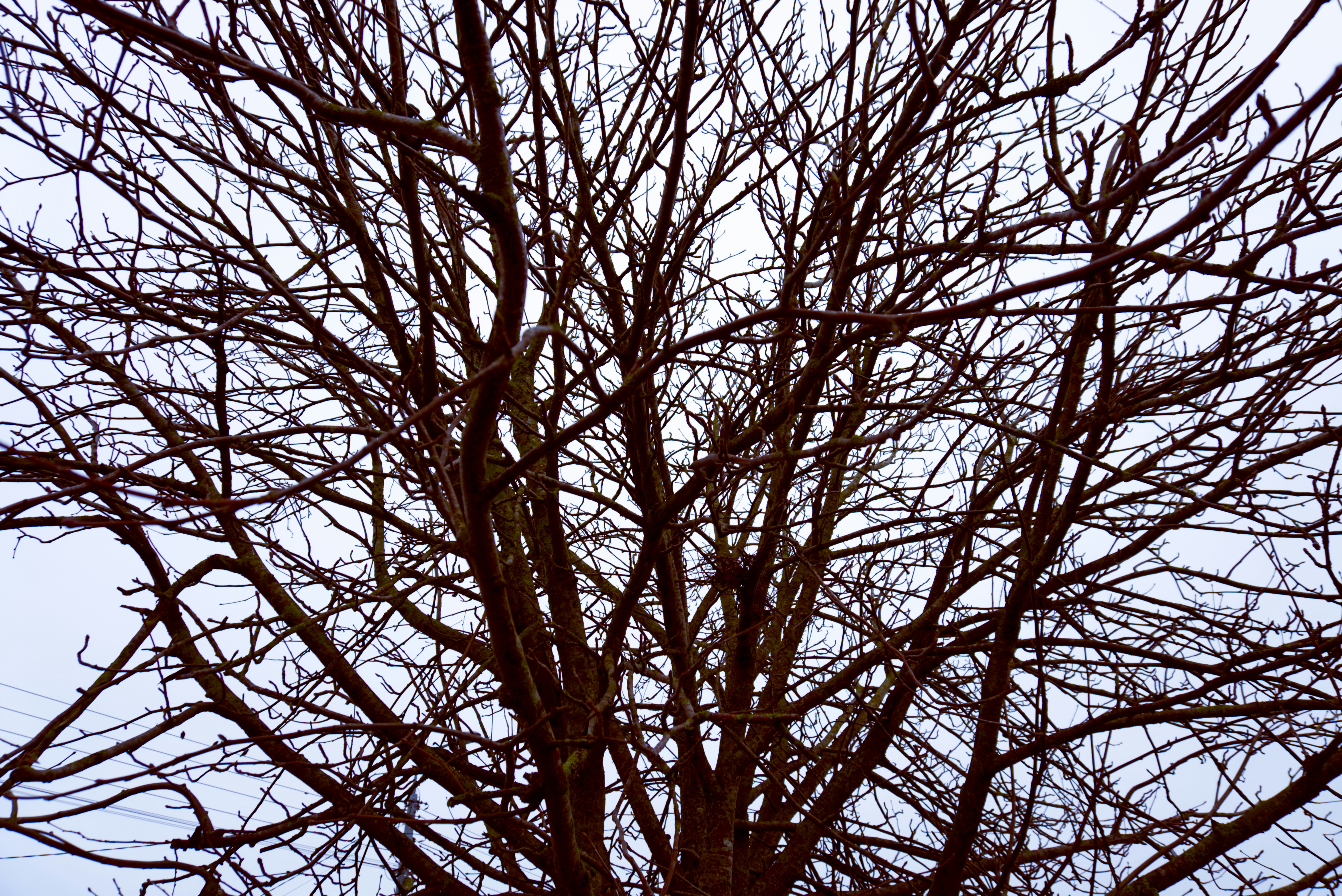 Photo by gabriellasofficialphotography