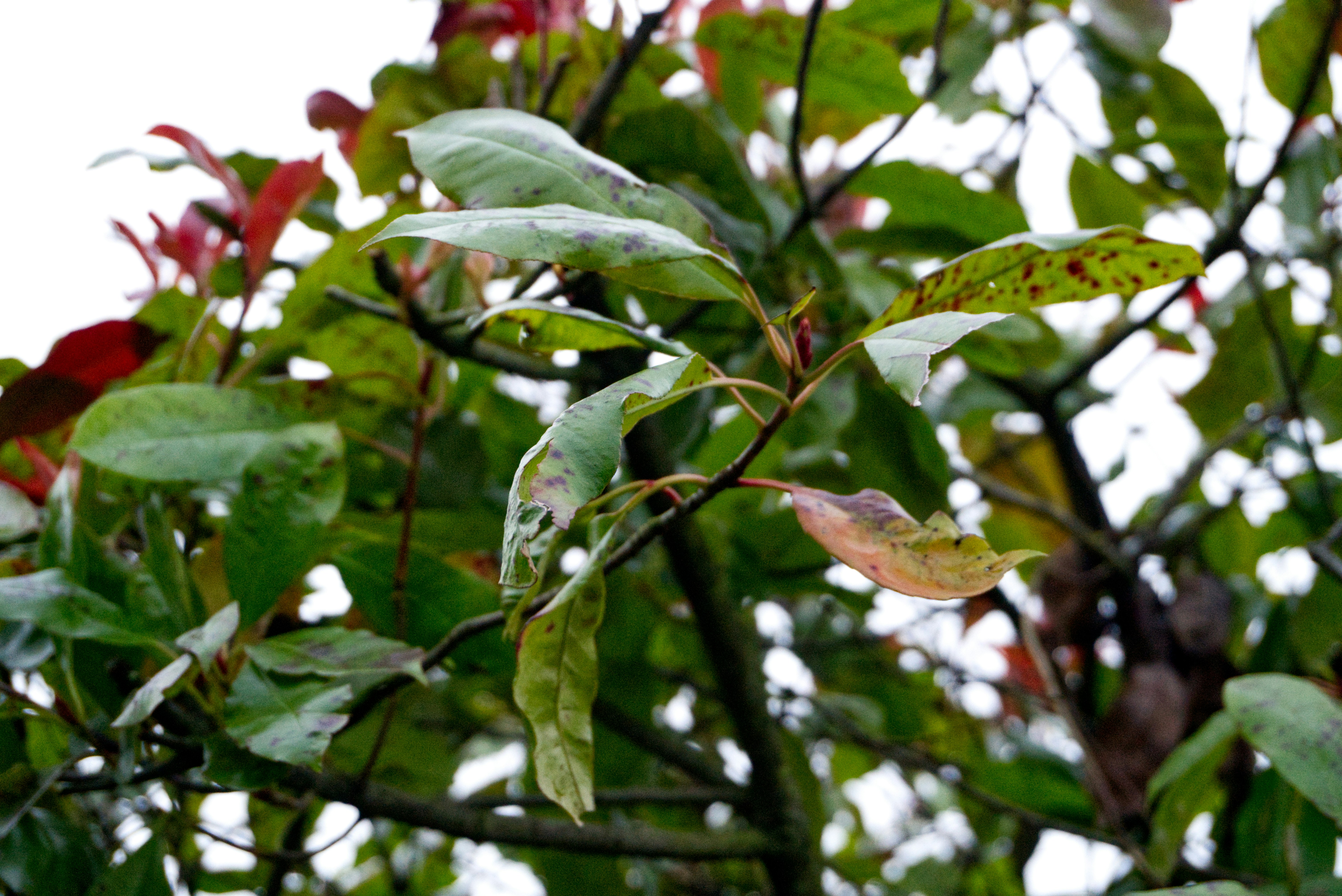 Photo by gabriellasofficialphotography