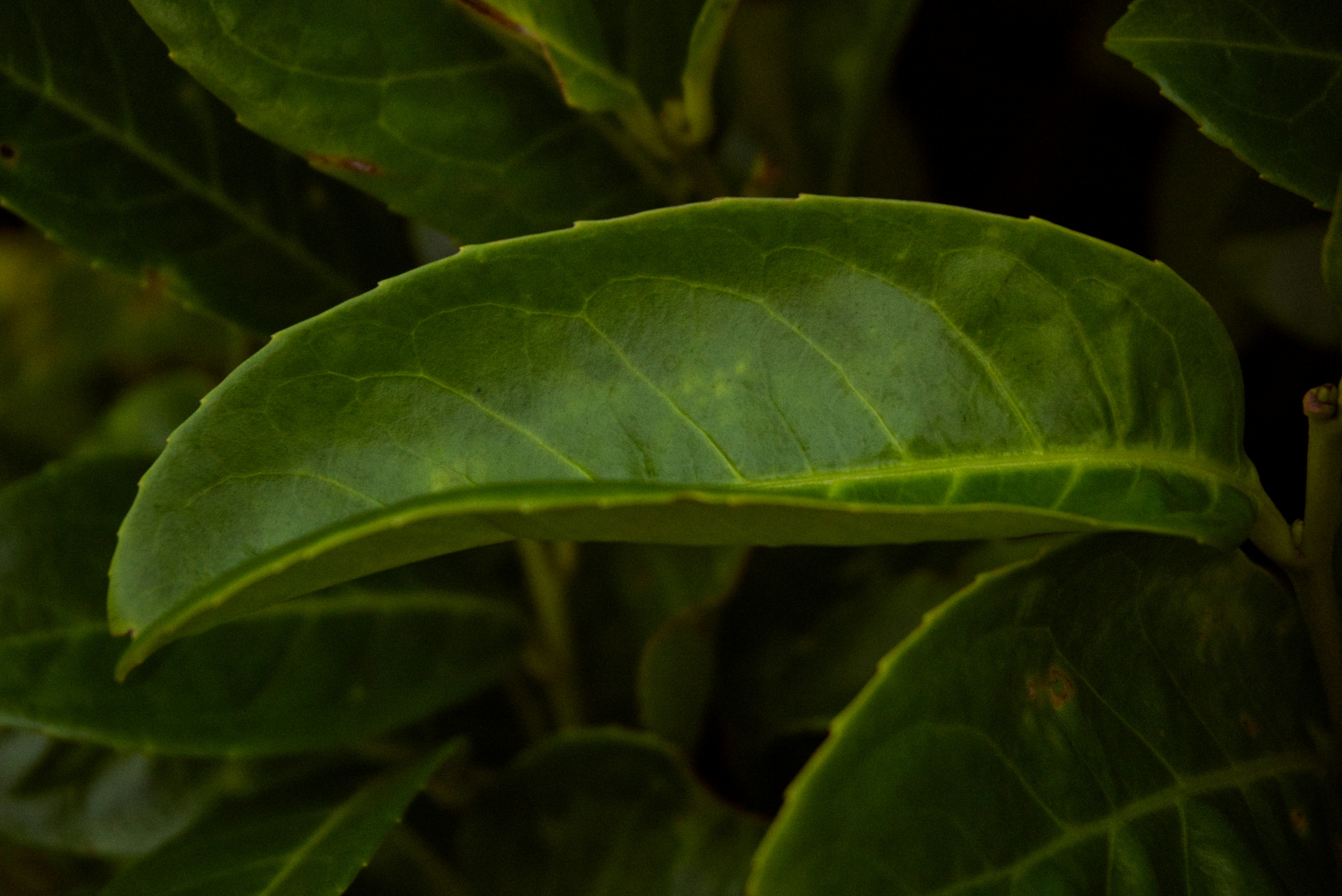 Photo by gabriellasofficialphotography