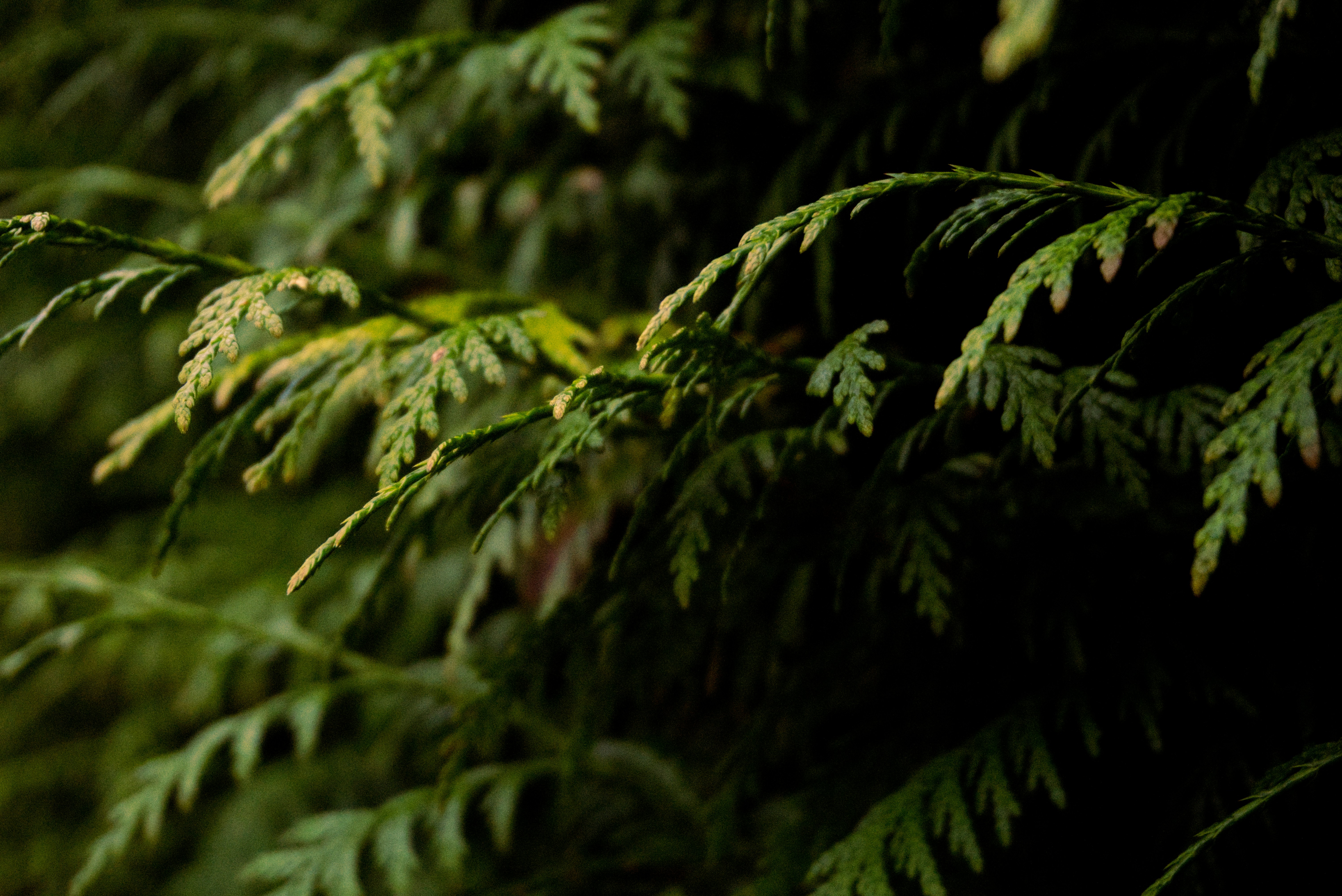 Photo by gabriellasofficialphotography