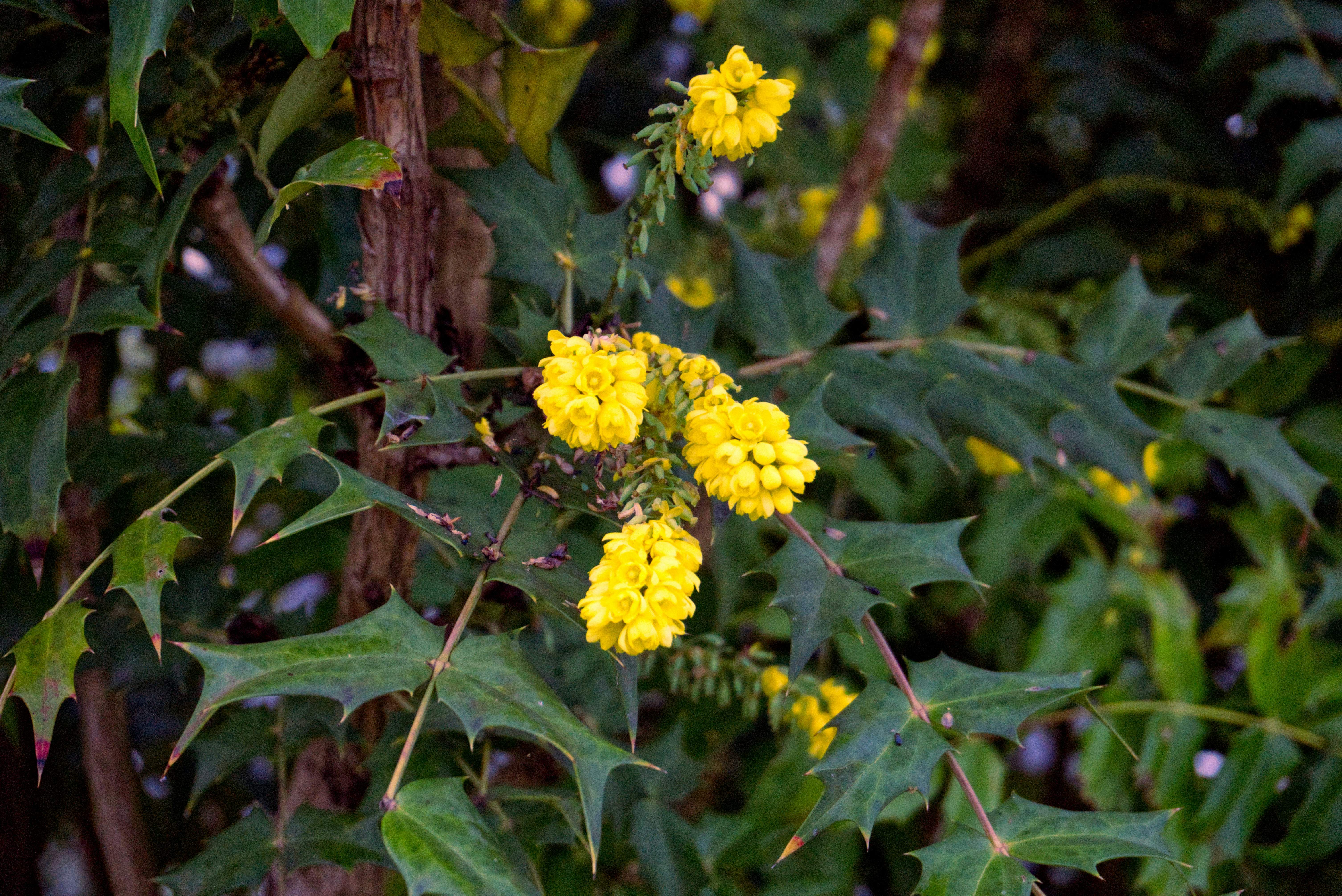 Photo by gabriellasofficialphotography