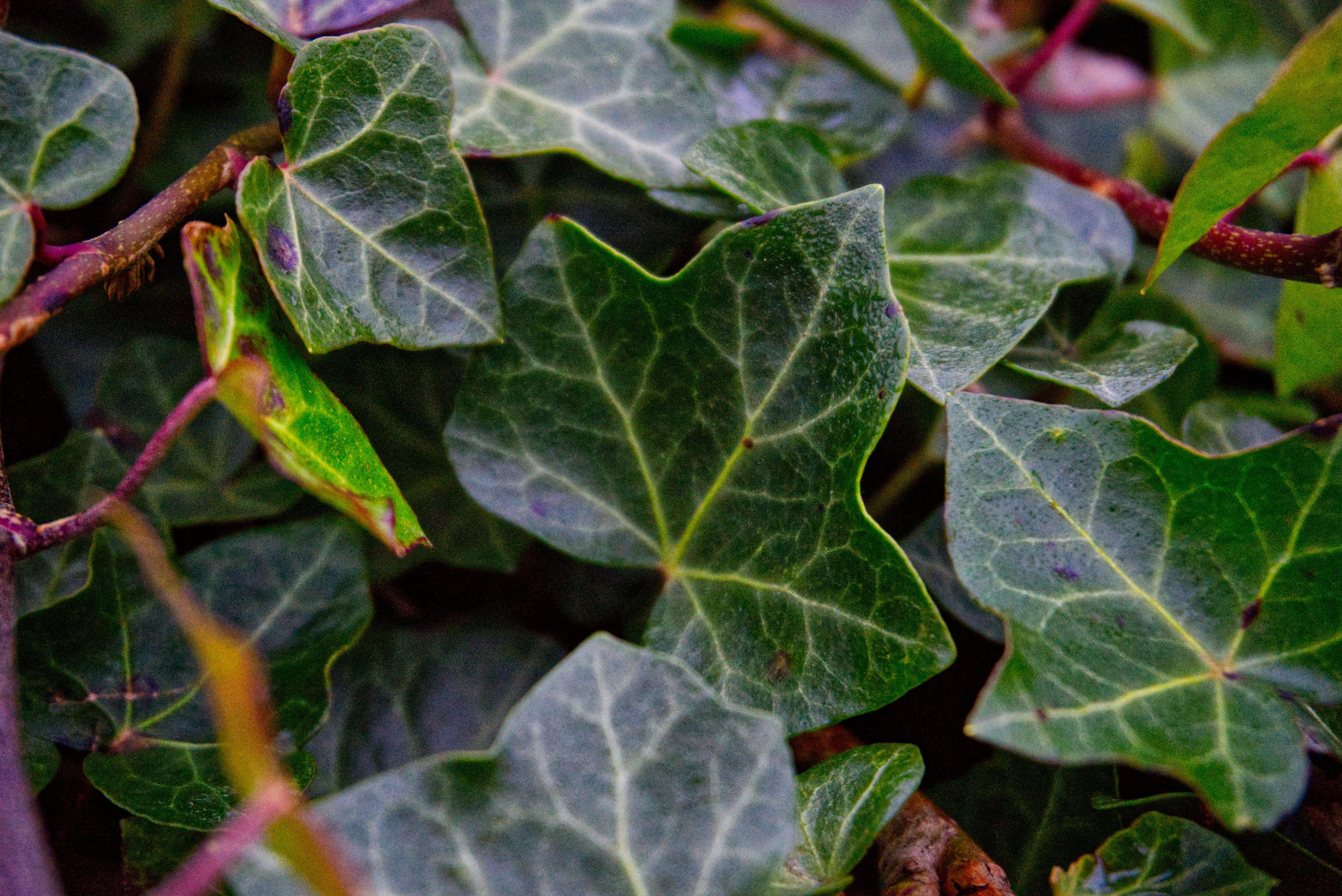 Photo by gabriellasofficialphotography