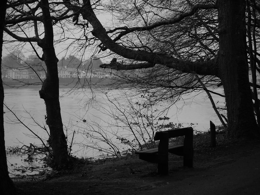 a black and white photo of a bench by the water