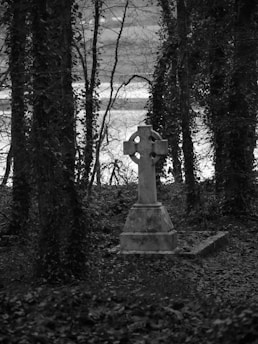 a grave in the middle of a forest