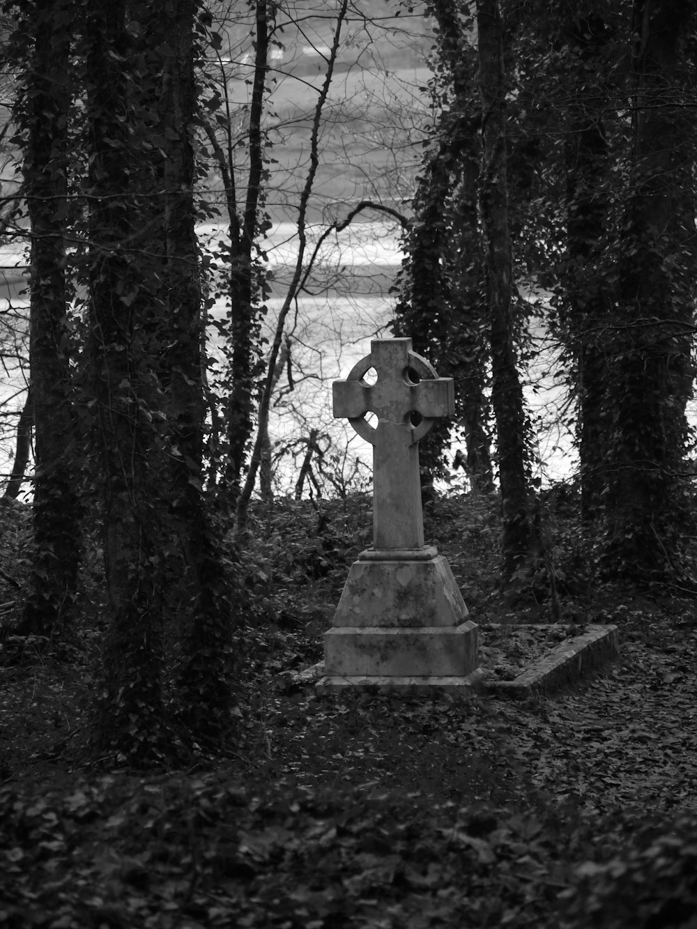 a grave in the middle of a forest