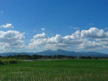 Wide shot of fertile farmland with rows of crops stretching towards distant hills.