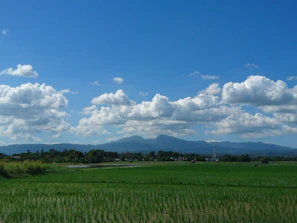 Wide shot of fertile farmland with rows of crops stretching towards distant hills.