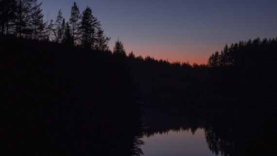 a body of water surrounded by a forest