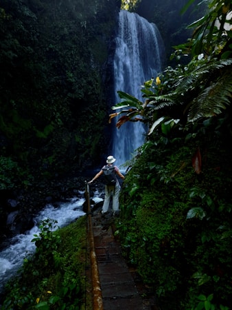 A person wearing a backpack and hat is walking on a narrow bridge through a lush, green jungle towards a tall, cascading waterfall. The area is densely overgrown with various tropical plants and the water from the waterfall creates a misty atmosphere.