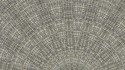 A close-up view of a sectioned tree trunk, revealing intricate patterns of growth rings radiating from the center. The texture is detailed, displaying a variety of lines and grains that convey the passage of time.