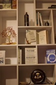 A bookshelf filled with various items, including books, decorative objects, and small plants. Books such as 'Delivering Happiness', 'Platform Revolution', and 'The Lean Startup' are visible. A small potted plant and a decorative tree with red leaves are also present. A dark-colored vase and a vintage-looking object resembling a gong are among the decorative items.