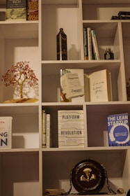 A bookshelf filled with various items, including books, decorative objects, and small plants. Books such as 'Delivering Happiness', 'Platform Revolution', and 'The Lean Startup' are visible. A small potted plant and a decorative tree with red leaves are also present. A dark-colored vase and a vintage-looking object resembling a gong are among the decorative items.