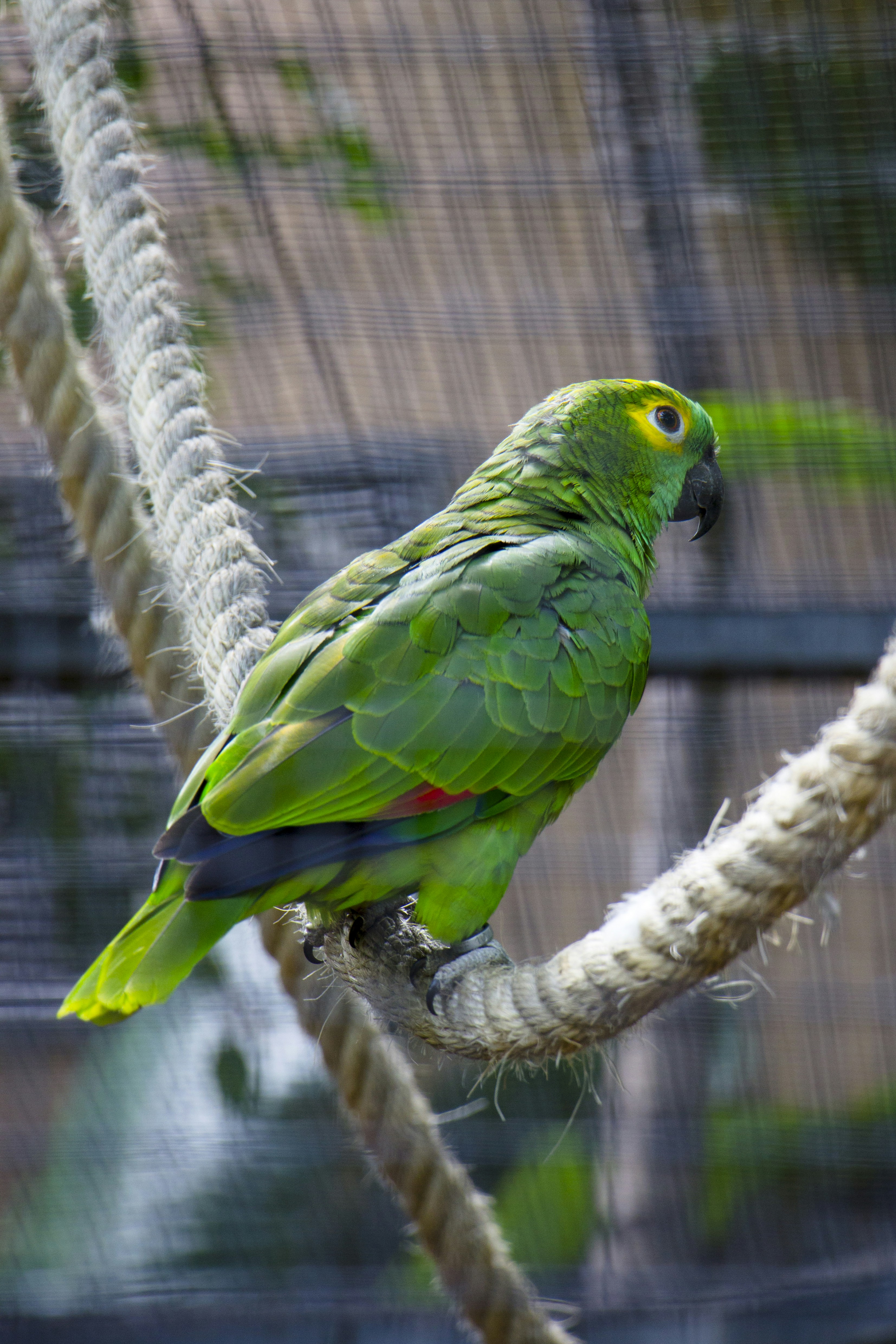 Photo by nikolaydutchuk