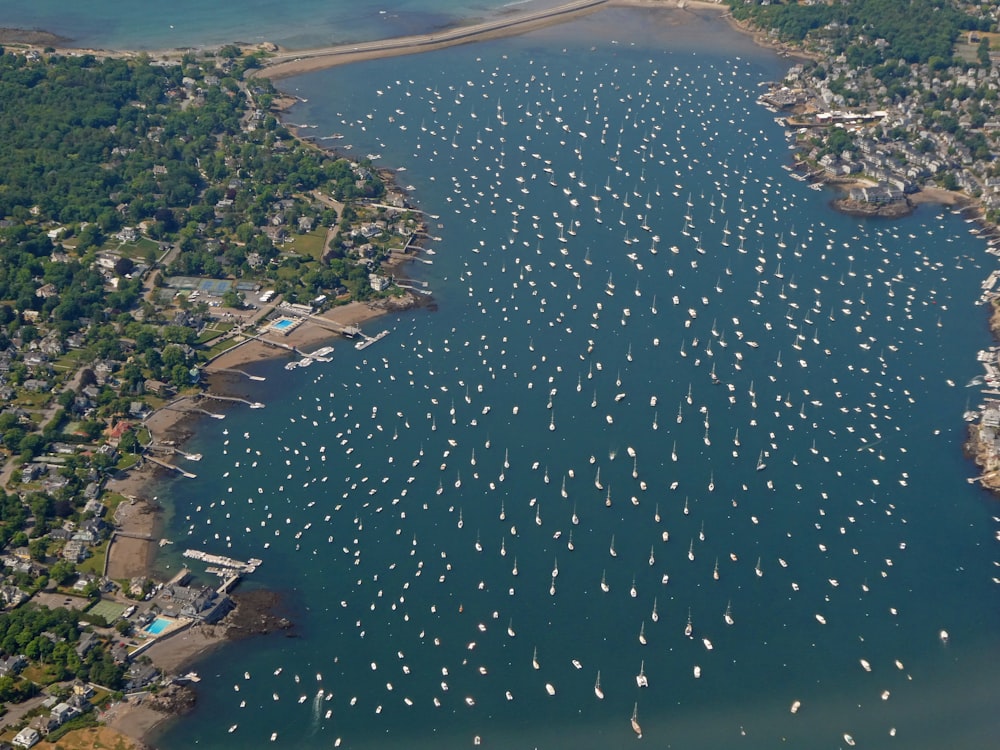 a large body of water filled with lots of boats