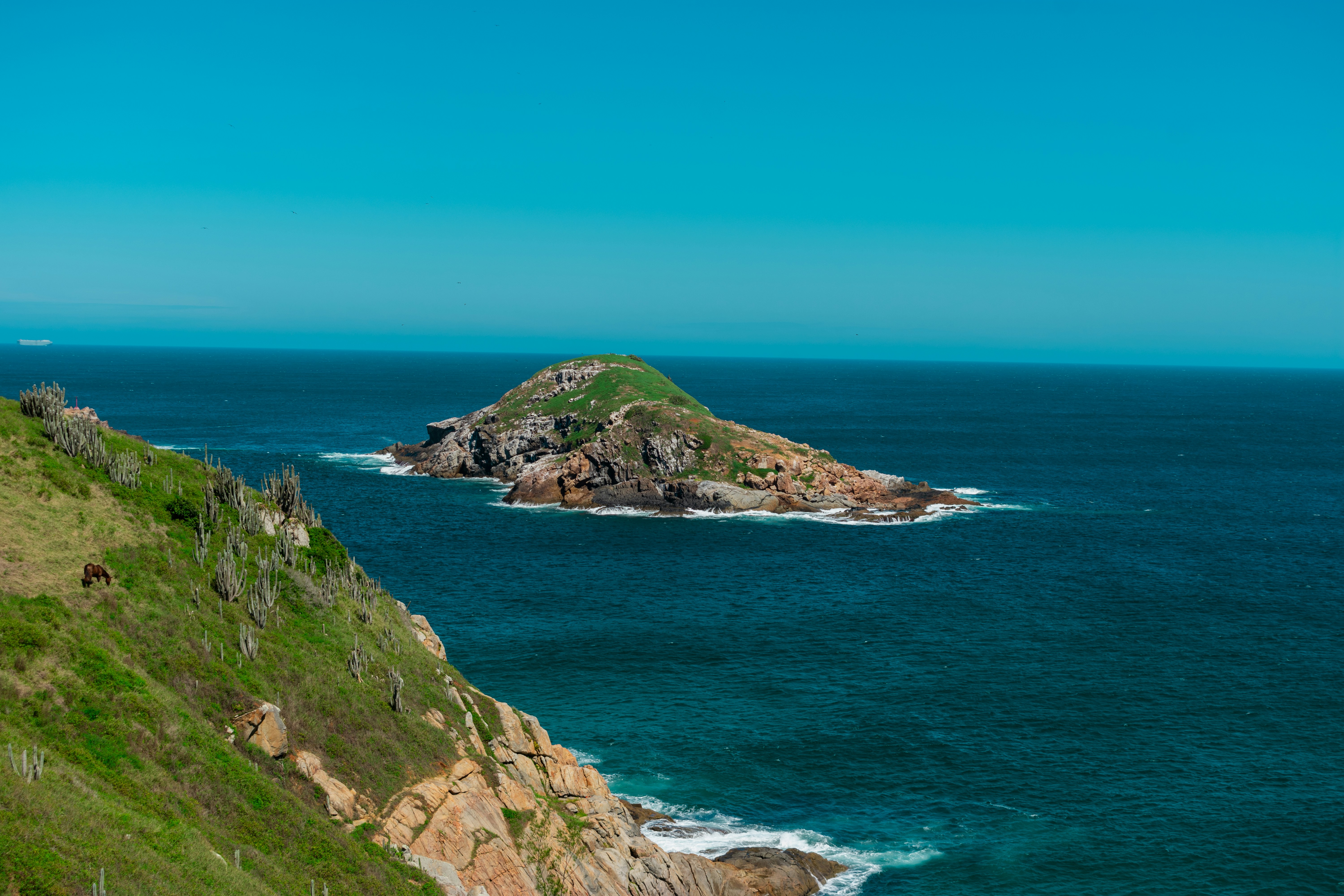 Photo by jhordan_orto