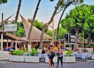 Guests enjoying a lively dinner on the terrace with lemon trees around at dusk