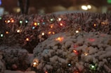 Snow-covered bushes are adorned with colorful string lights glowing brightly despite the dark surroundings. The lights are in various colors, including red, yellow, blue, and green, adding a festive touch to the winter scene.