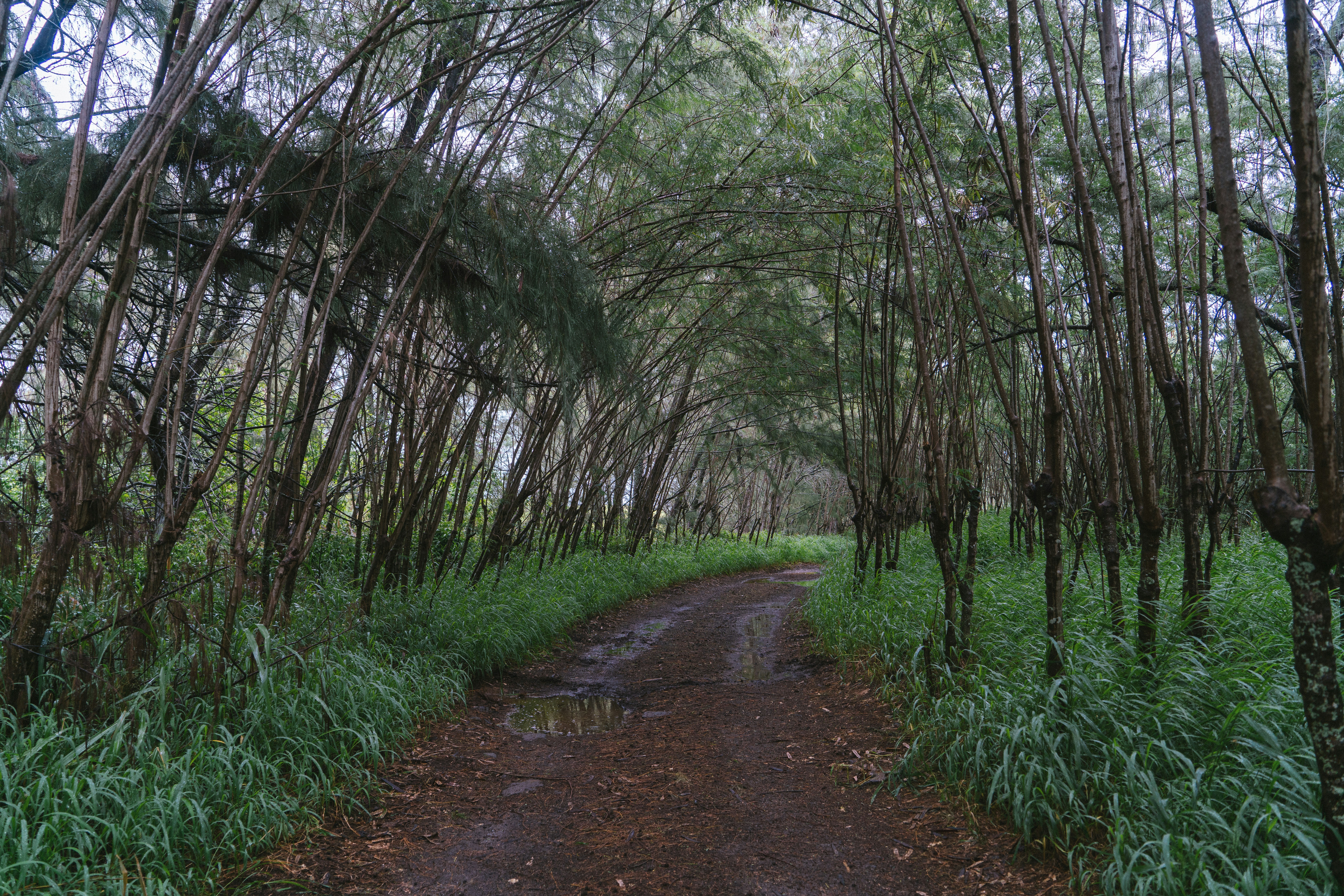 Photo by rosalindjchang