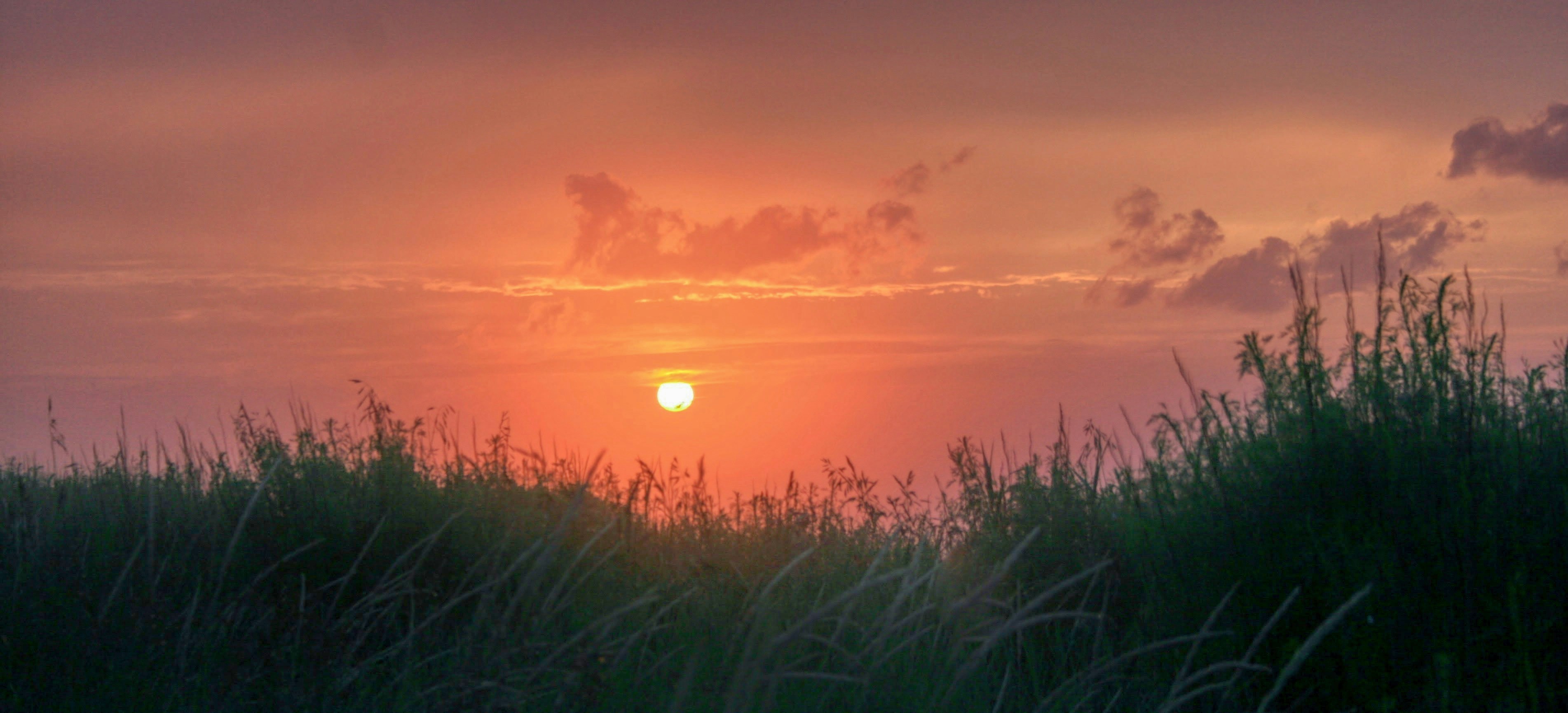 The sun is setting over a field of tall grass photo – Free Sunset Image ...
