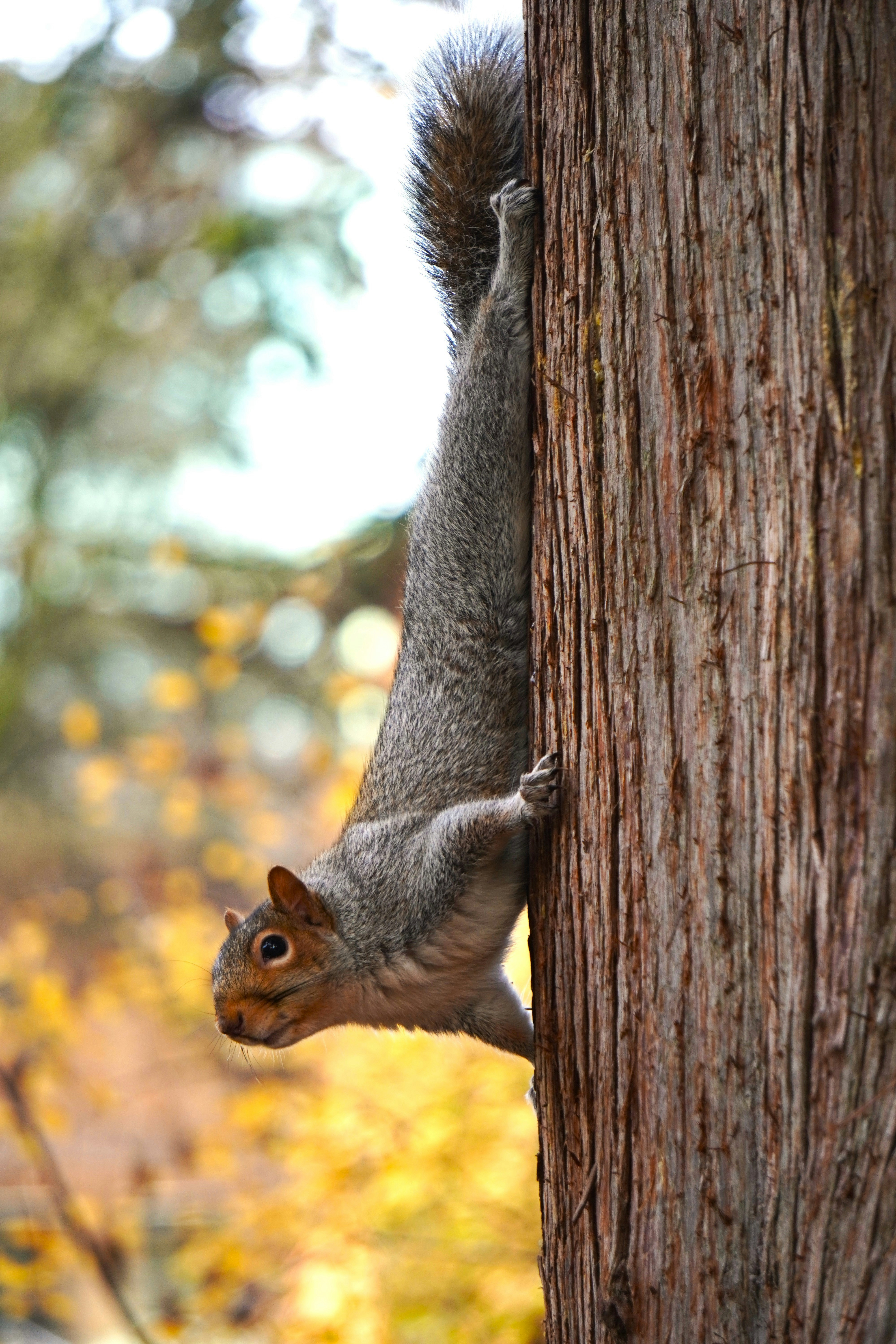 Photo by nathan_lityo