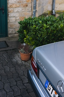 A silver Mercedes-Benz car is parked on a patterned stone driveway beside a lush green bush. The rear end of the car is visible, including the license plate and model badge. The background features a stone wall and a green door, adding a rustic touch.