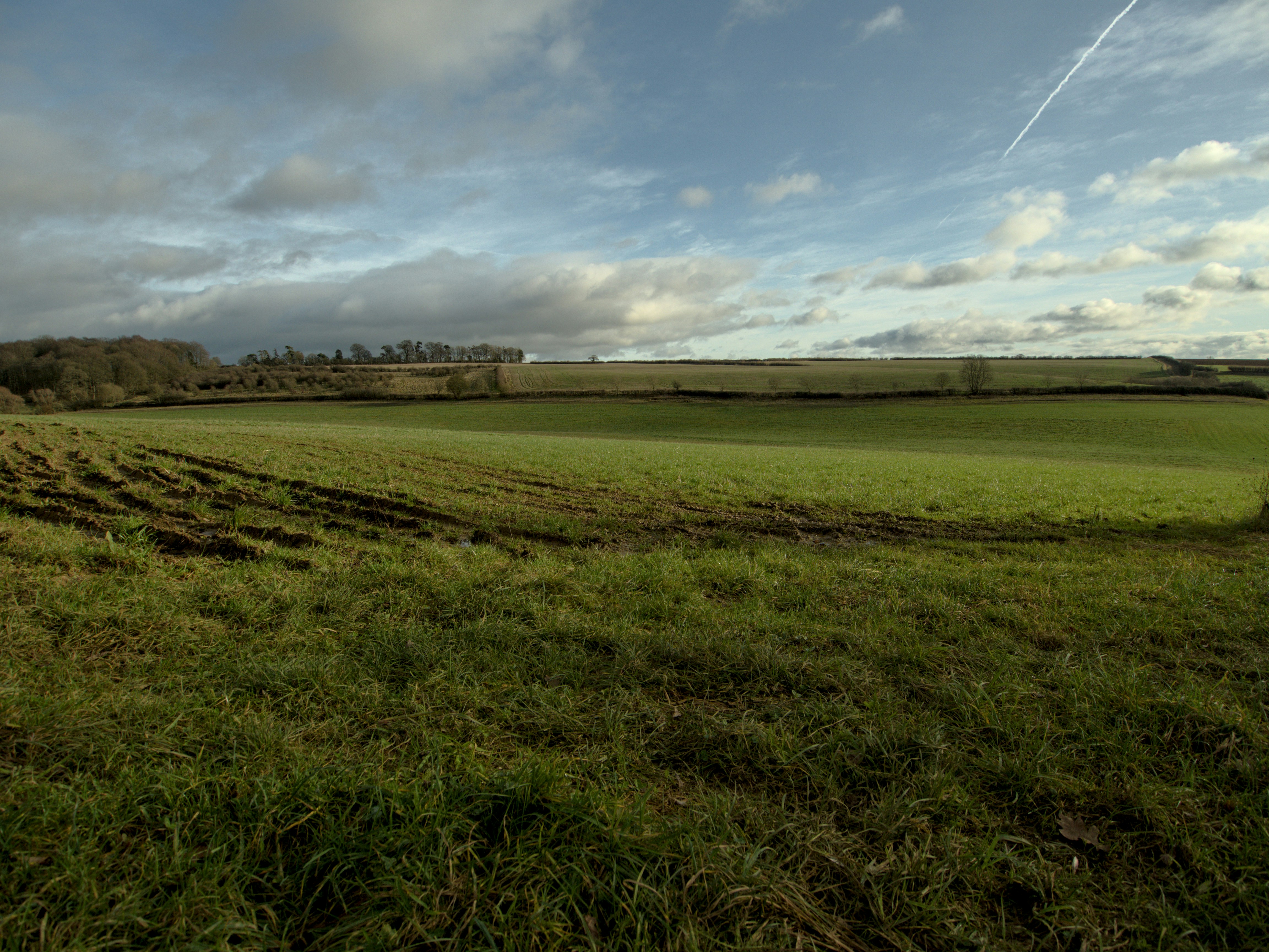 Photo by alexanderpharwood