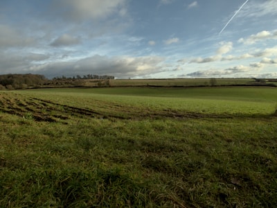 a grassy field with a blue sky in the background