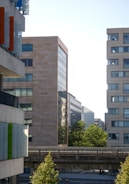 The image captures a modern urban scene with multiple high-rise buildings featuring large windows and varied architectural styles. The foreground includes a slightly elevated road or walkway, and a few green trees add a touch of nature to the scene. The sky appears clear, suggesting a sunny day.