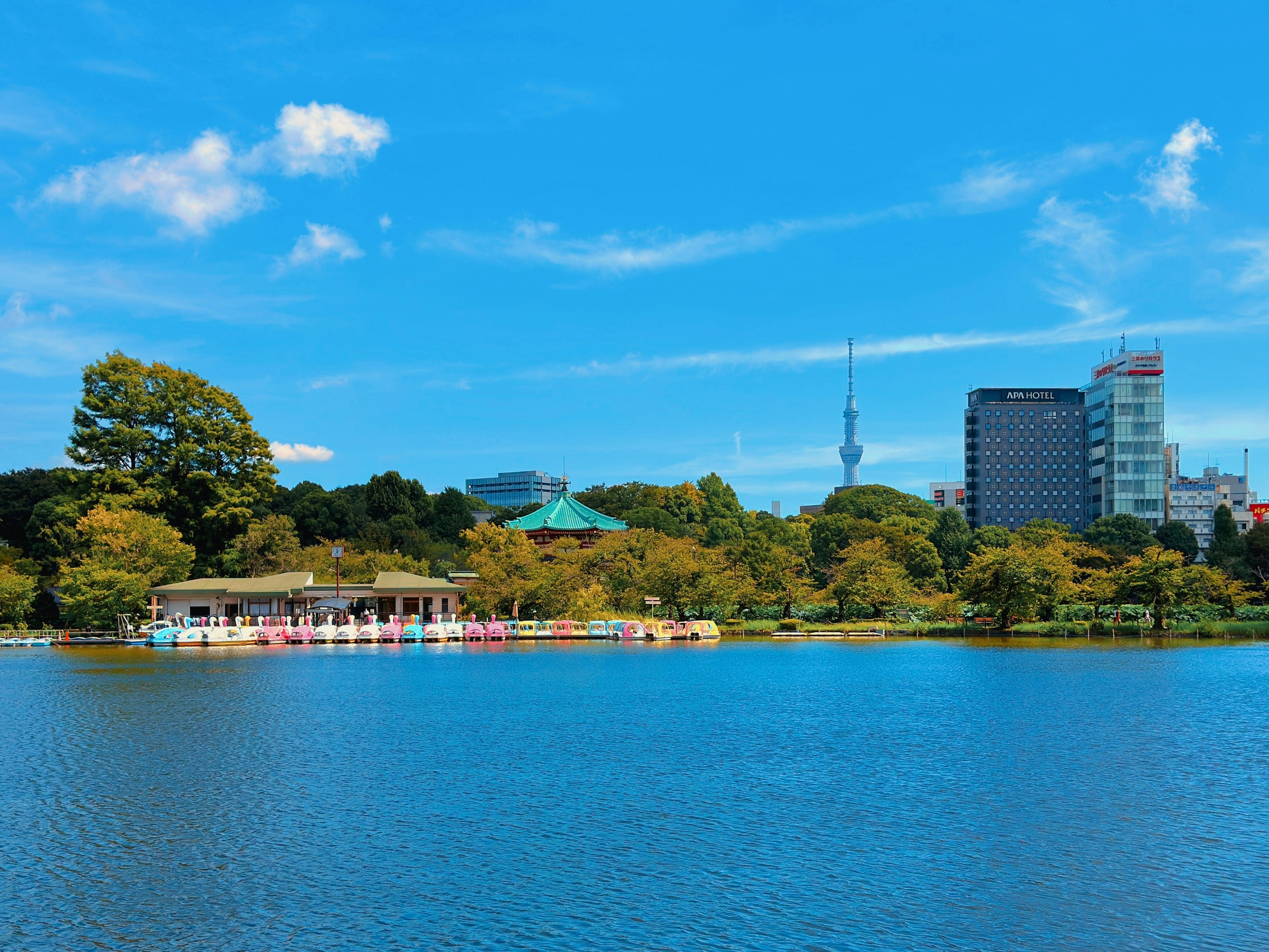 a large body of water with buildings in the background