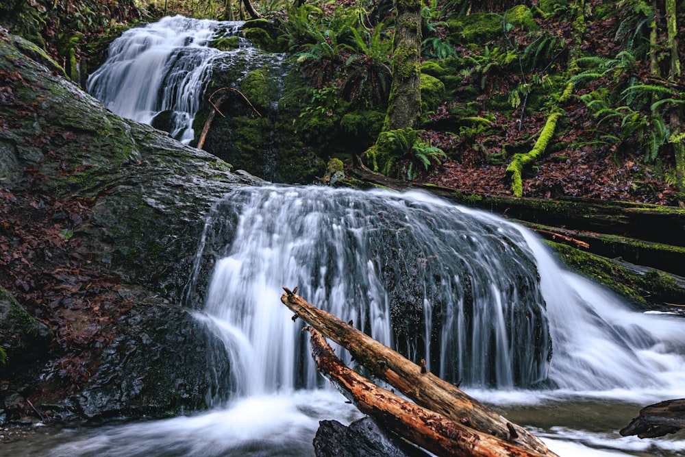 a small waterfall in the middle of a forest