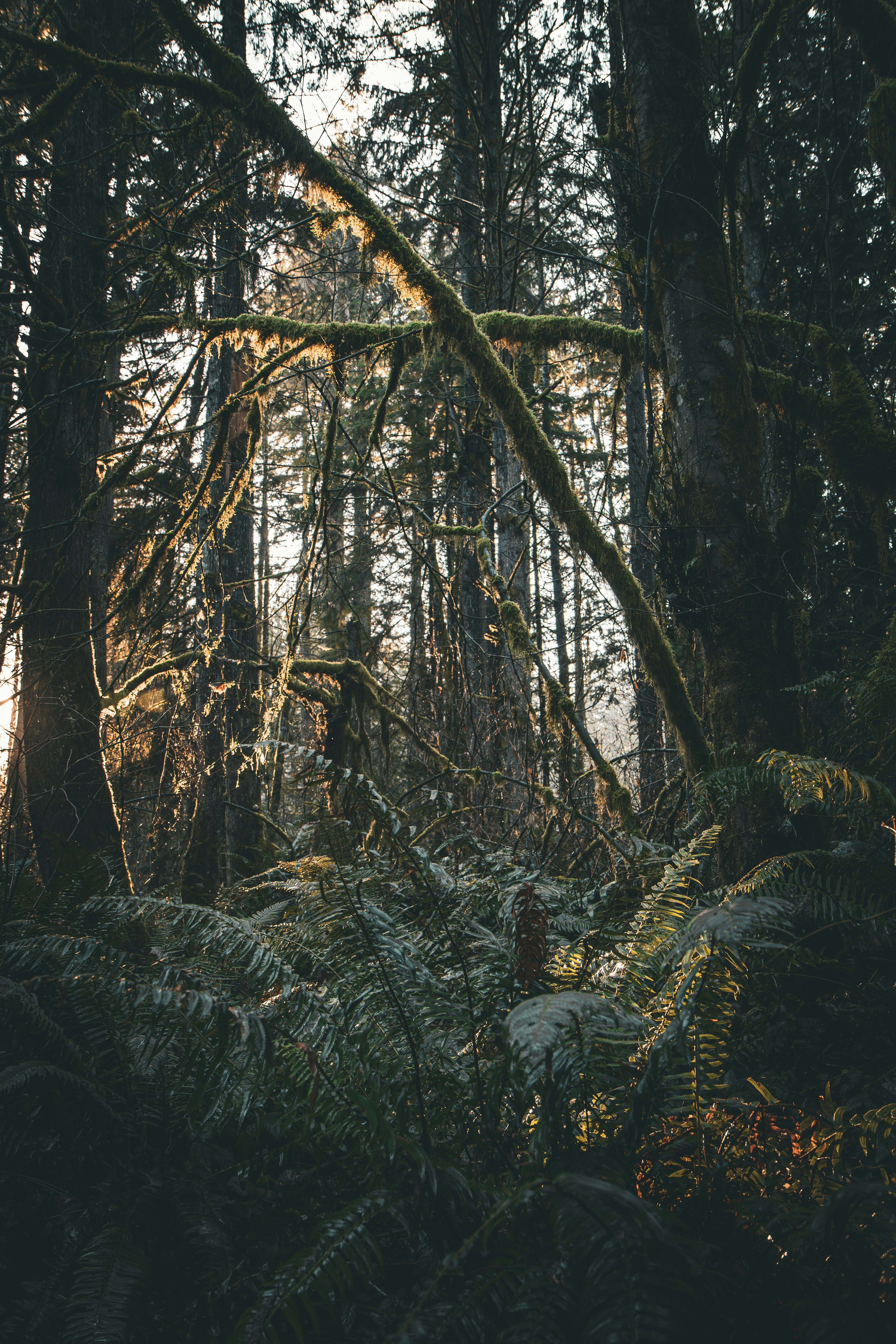 Photo by brice_cooper18