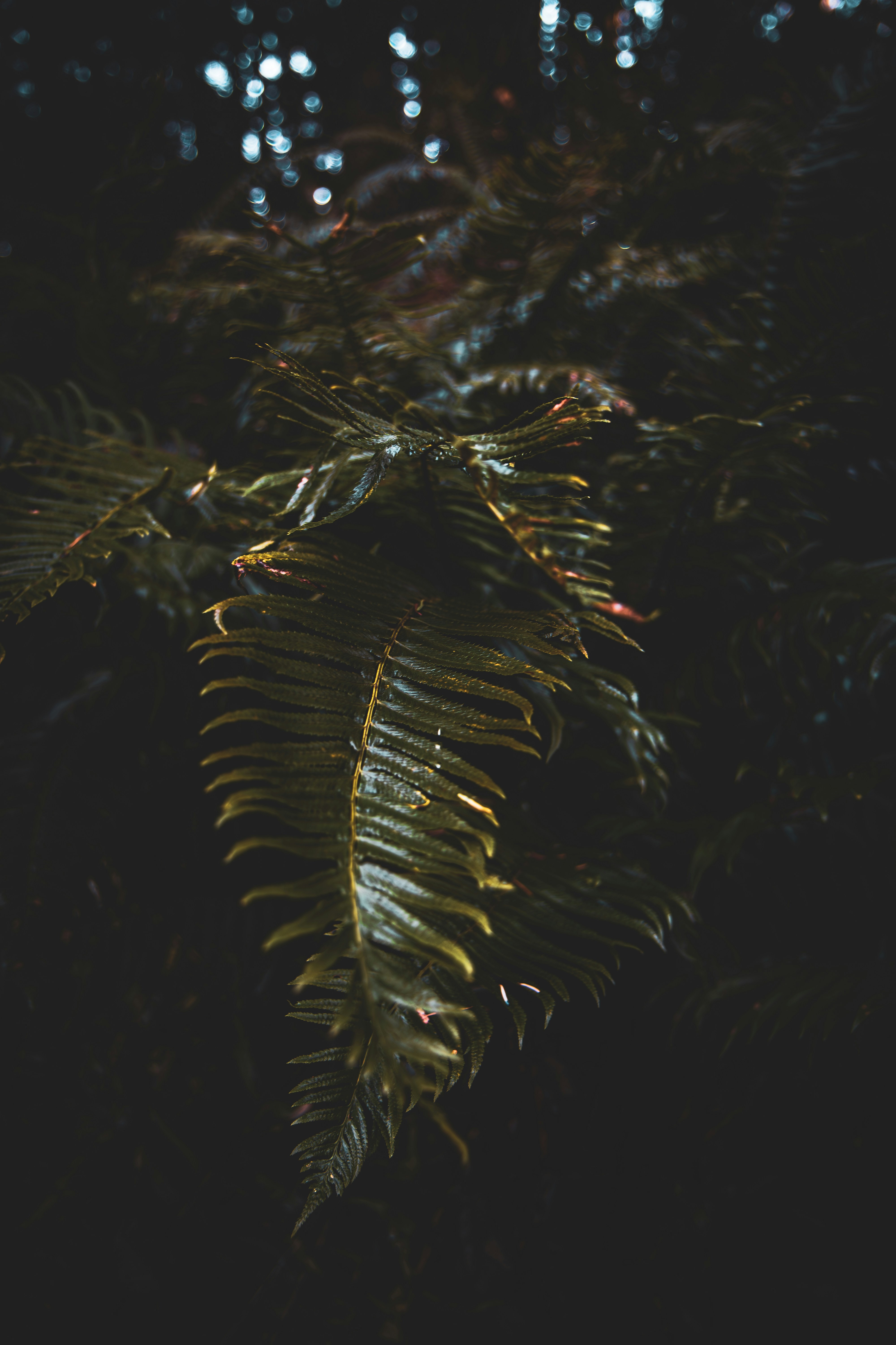 Photo by brice_cooper18