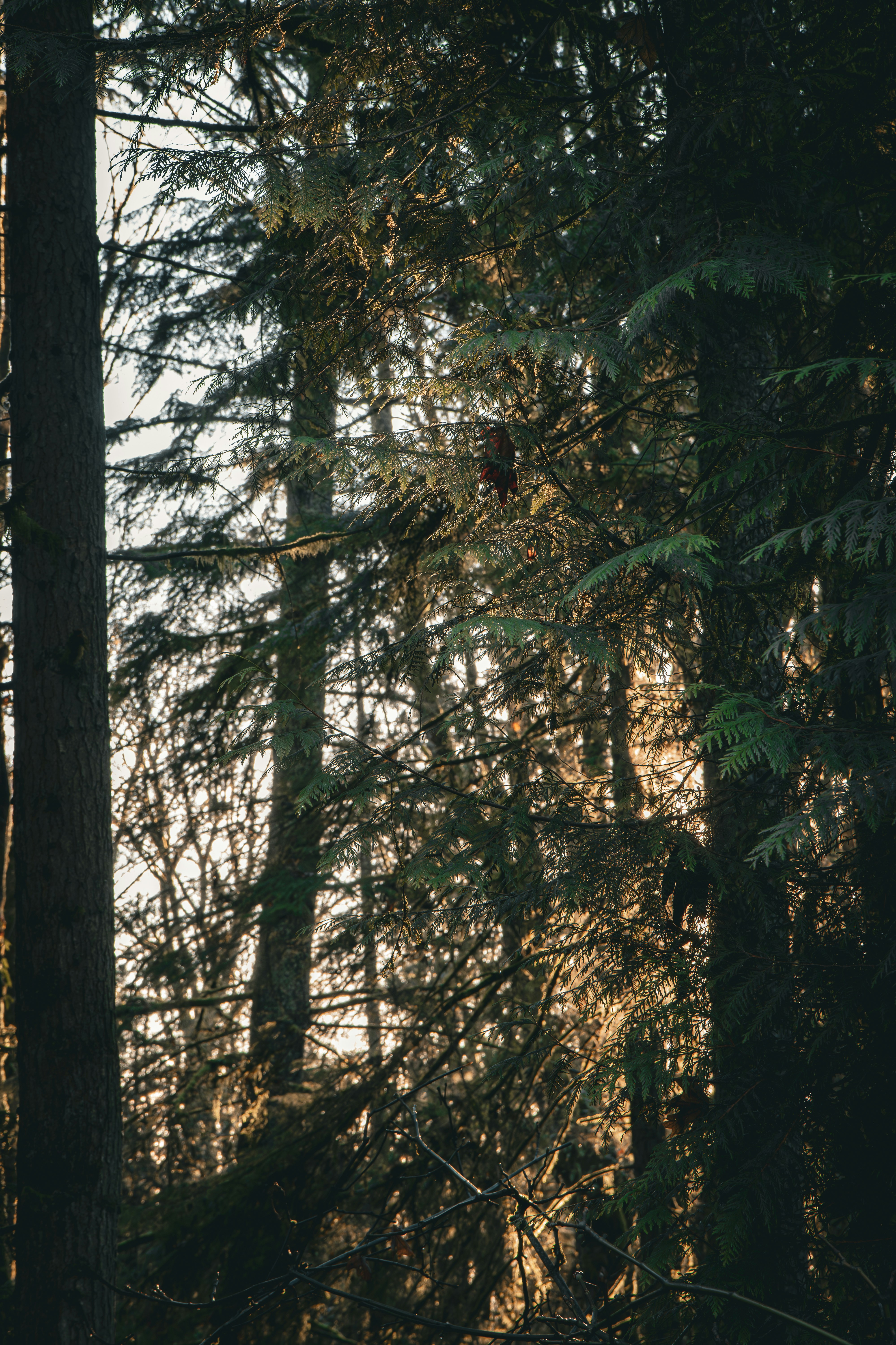 Photo by brice_cooper18