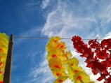 A colorful mandap decorated with marigold flowers under a clear blue sky.