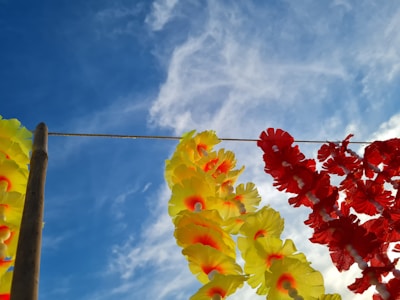 A colorful mandap decorated with marigold flowers under a clear blue sky.