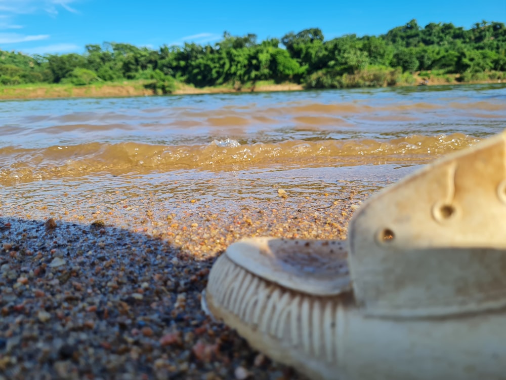 a pair of shoes sitting on top of a sandy beach