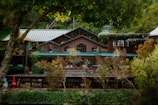 A rustic wooden building with multiple stories and large windows, surrounded by lush greenery and trees. The rooftop is made of green metal sheets, blending harmoniously with the natural environment. Ivy and various plants adorn the exterior, creating a serene and cozy atmosphere.