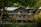 A rustic wooden building with multiple stories and large windows, surrounded by lush greenery and trees. The rooftop is made of green metal sheets, blending harmoniously with the natural environment. Ivy and various plants adorn the exterior, creating a serene and cozy atmosphere.