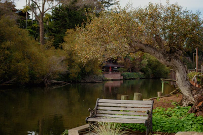 A serene outdoor scene with an open journal and a pen resting on a wooden bench.
