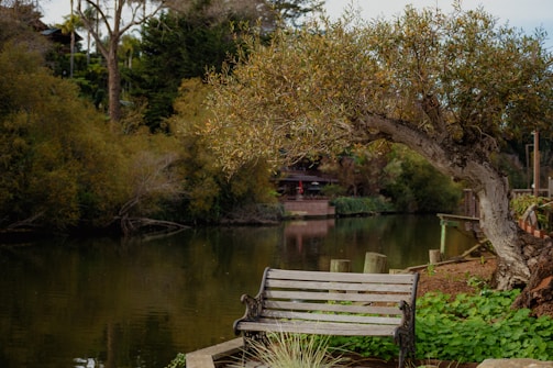 A serene outdoor scene with a handpan resting on a wooden bench surrounded by greenery.