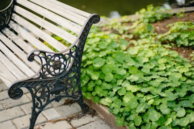 Elegant wooden garden bench with brass accents set in a lush green backyard.